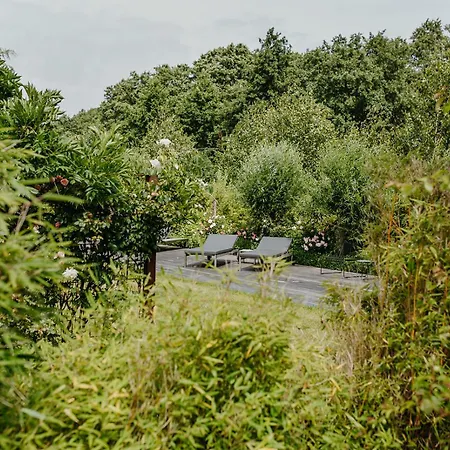 ゲストハウス Quartier Carpe Diem